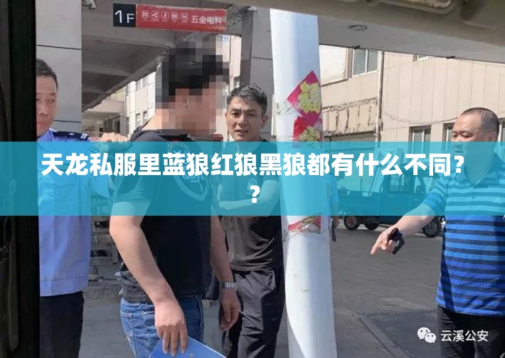 天龙私服里蓝狼红狼黑狼都有什么不同?? 天龙私服里蓝狼红狼黑狼都有什么不同??