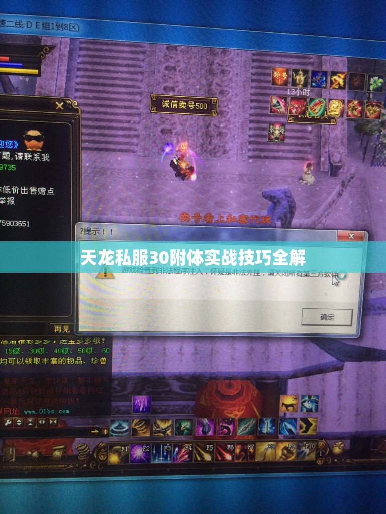 天龙私服30附体实战技巧全解 天龙私服30附体实战技巧全解